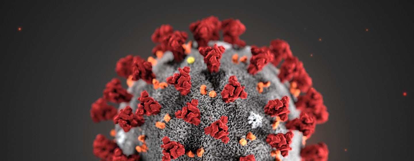 Coronavirus, en pocas palabras: el documental que te explica bien y claro la pandemia