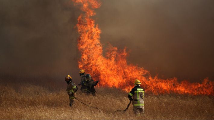 Pablo Lobos, Gerente de Prevención de Incendios de CONAF: “Algunos  fueron causados por derribamiento de arboles sobre tendidos eléctricos”