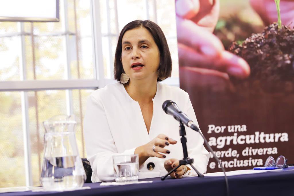 Ministra (s) de Agricultura Ignacia Fernández: “El dato real es que un poquito menos del 4% de la producción de huevos es la que se ha visto afectada”
