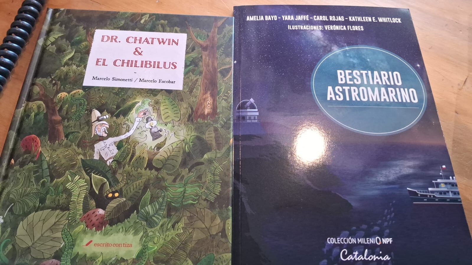 Día de la niñez: La librera Anita Barra recomendó cinco títulos para regalar a los más pequeños