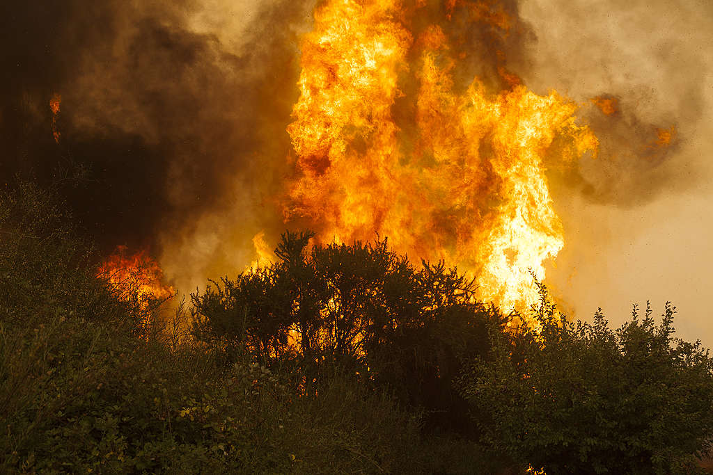 UNIVERSO RENOVABLE: ¿Las medidas que adopta nuestro país frente a los incendios forestales son insuficientes?