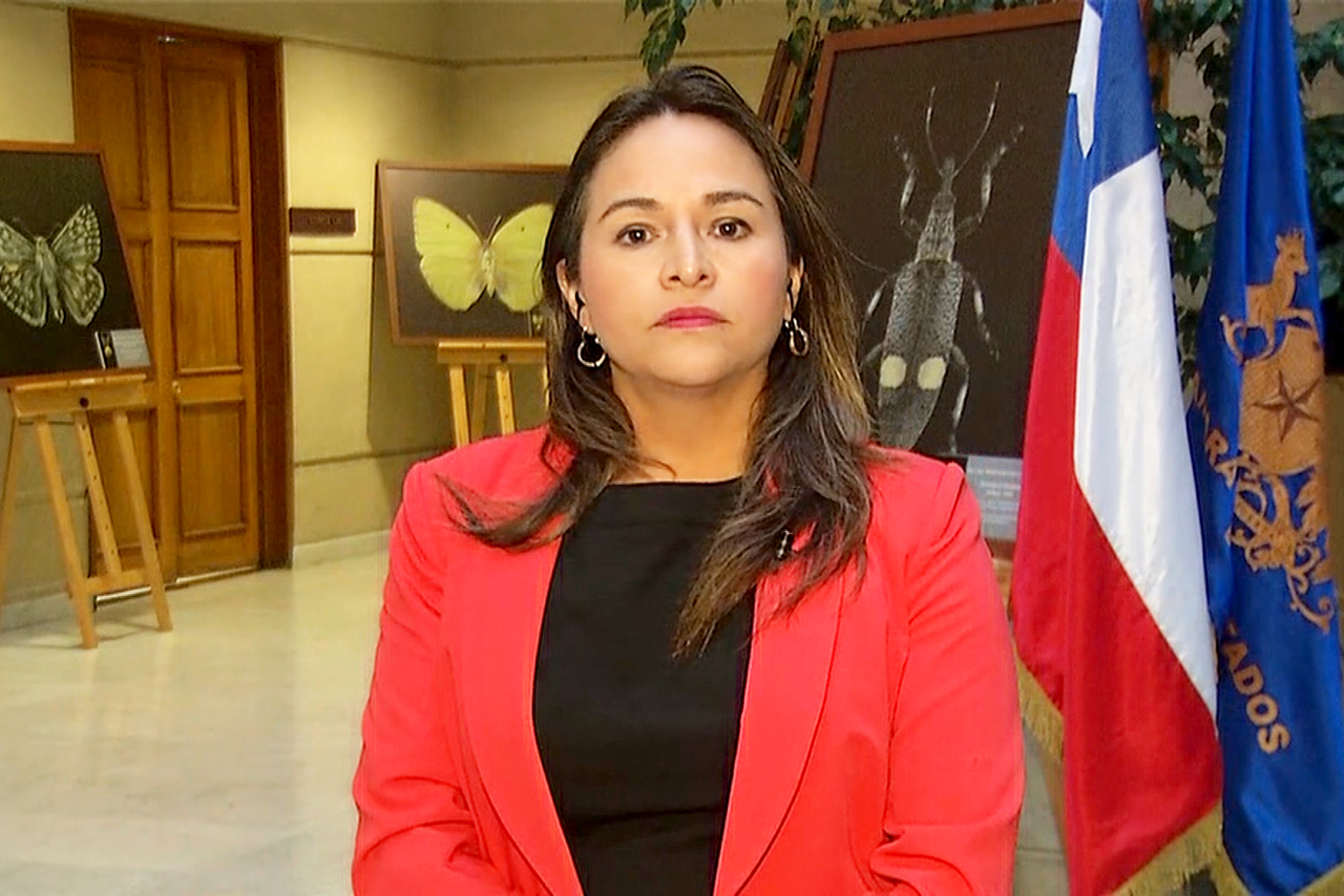Diputada Joanna Pérez descarta que Demócratas entregue votos clave para aprobar la Reforma Previsional