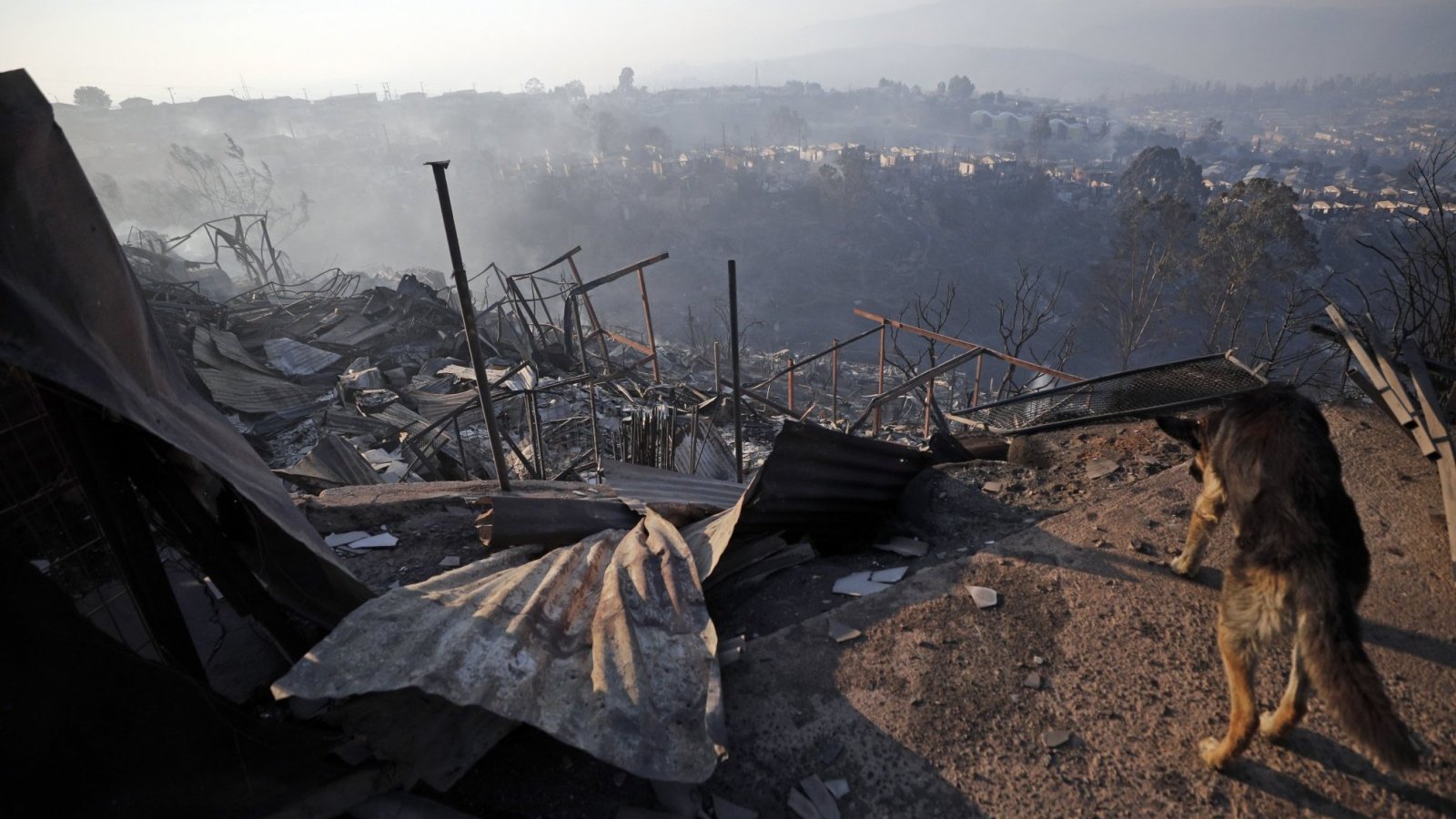 Arriba Chile: La campaña de Techo para reconstruir zonas afectadas por los incendios de Valparaíso