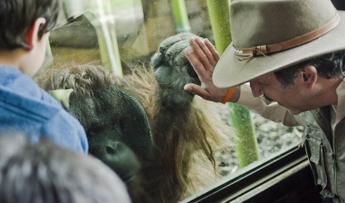 Panoramas para las vacaciones de invierno: la oferta de Buin Zoo