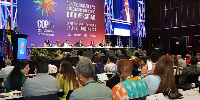 Universo Renovable: COP 16 y electromovilidad