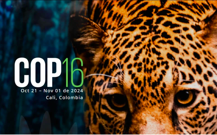 PropTech chilena participará de la COP 16 de Biodiversidad en Colombia