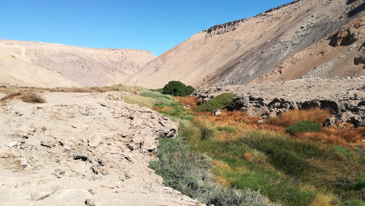 Primera área protegida para Calama: Santuario de la Naturaleza Quebrada Ojo de Opache