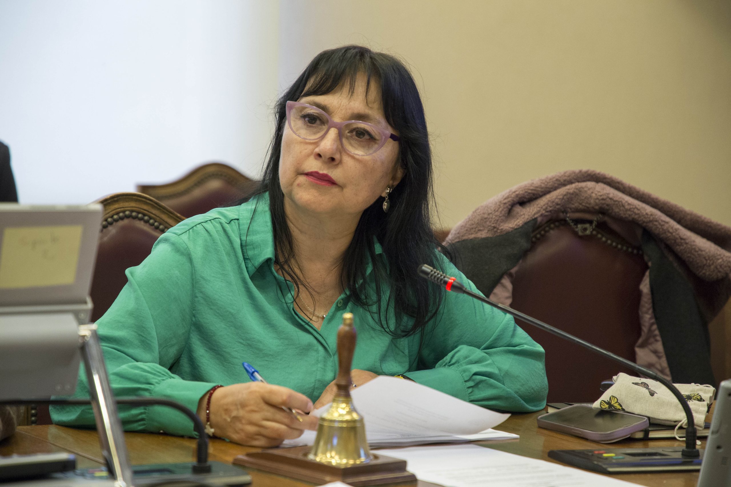 Diputada Marzán denuncia grave inseguridad alimentaria y pide políticas públicas urgentes