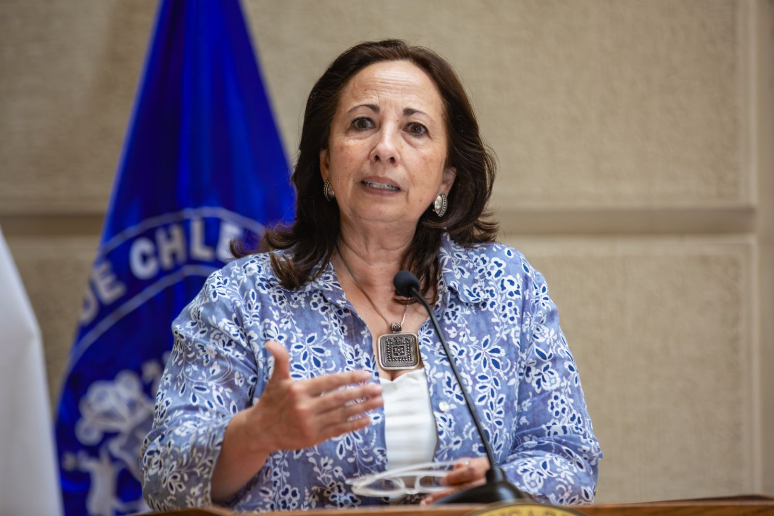 Comando de Jara se desmarca de críticas a Parisi: Senadora Sepúlveda rechaza “calificativos”  de Darío Quiroga